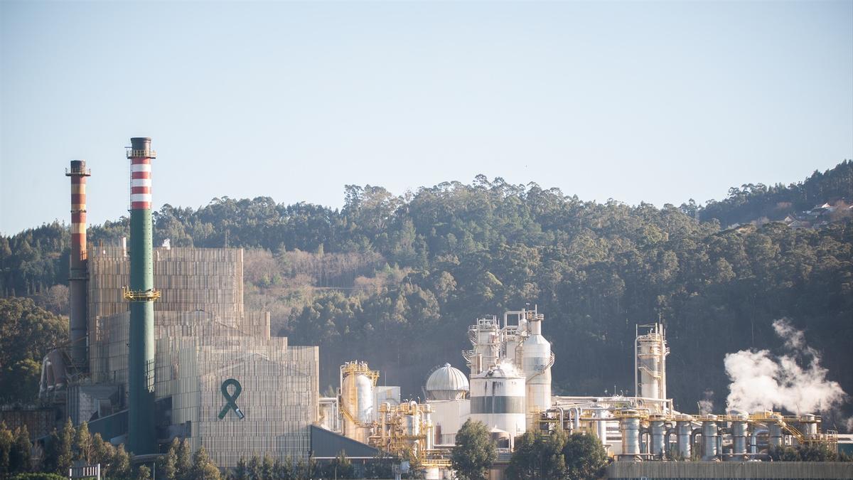 El complejo industrial de Ence en la Ría de Pontevedra.