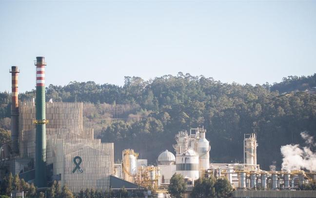El complejo industrial de Ence en la Ría de Pontevedra.