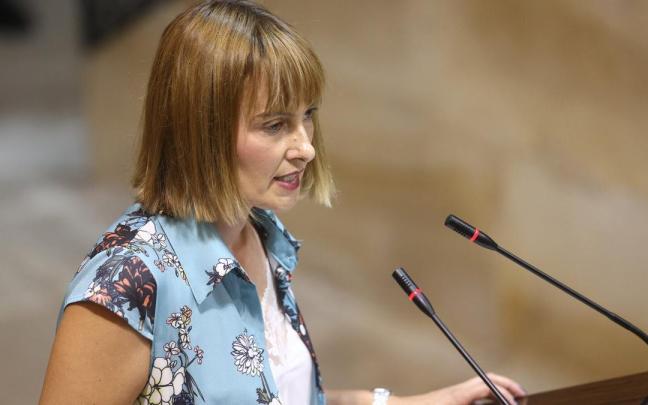 La diputada de Acción Social, Amaia Antxustegi, durante una comparecencia en el pleno de las Juntas Generales / Borja Guerrero La diputada de Acción Social, Amaia Antxustegi, durante una comparecencia en el pleno de las Juntas Generales