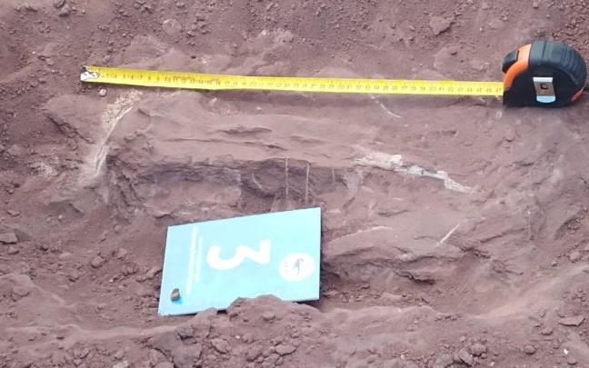 Imagen de un fósil de un 'titanosaurios'.