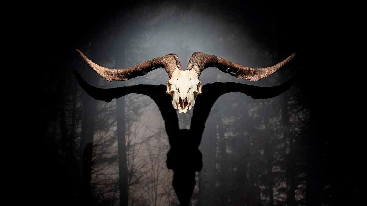 Cornamenta del macho cabrío en el Museo de las Brujas.