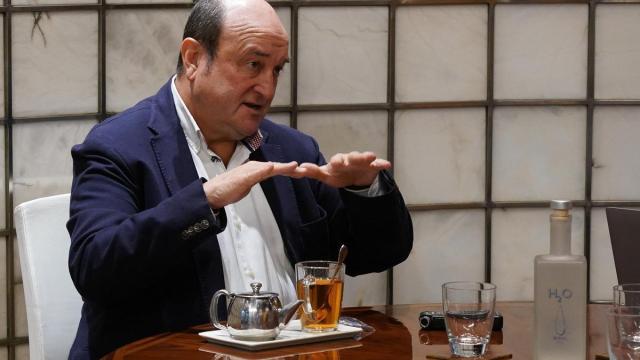 El presidente del EBB del PNV, Andoni Ortuzar.