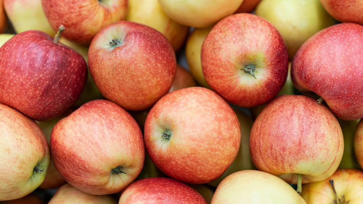 Las manzanas son uno de los alimentos más versátiles y saciantes