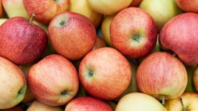 Las manzanas son uno de los alimentos más versátiles y saciantes