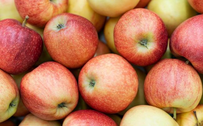 Las manzanas son uno de los alimentos más versátiles y saciantes