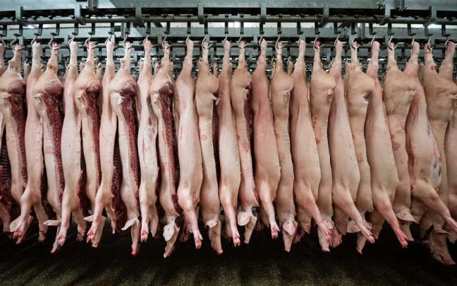 El Gobierno vasco ha llamado a redoblar los controles sanitarios