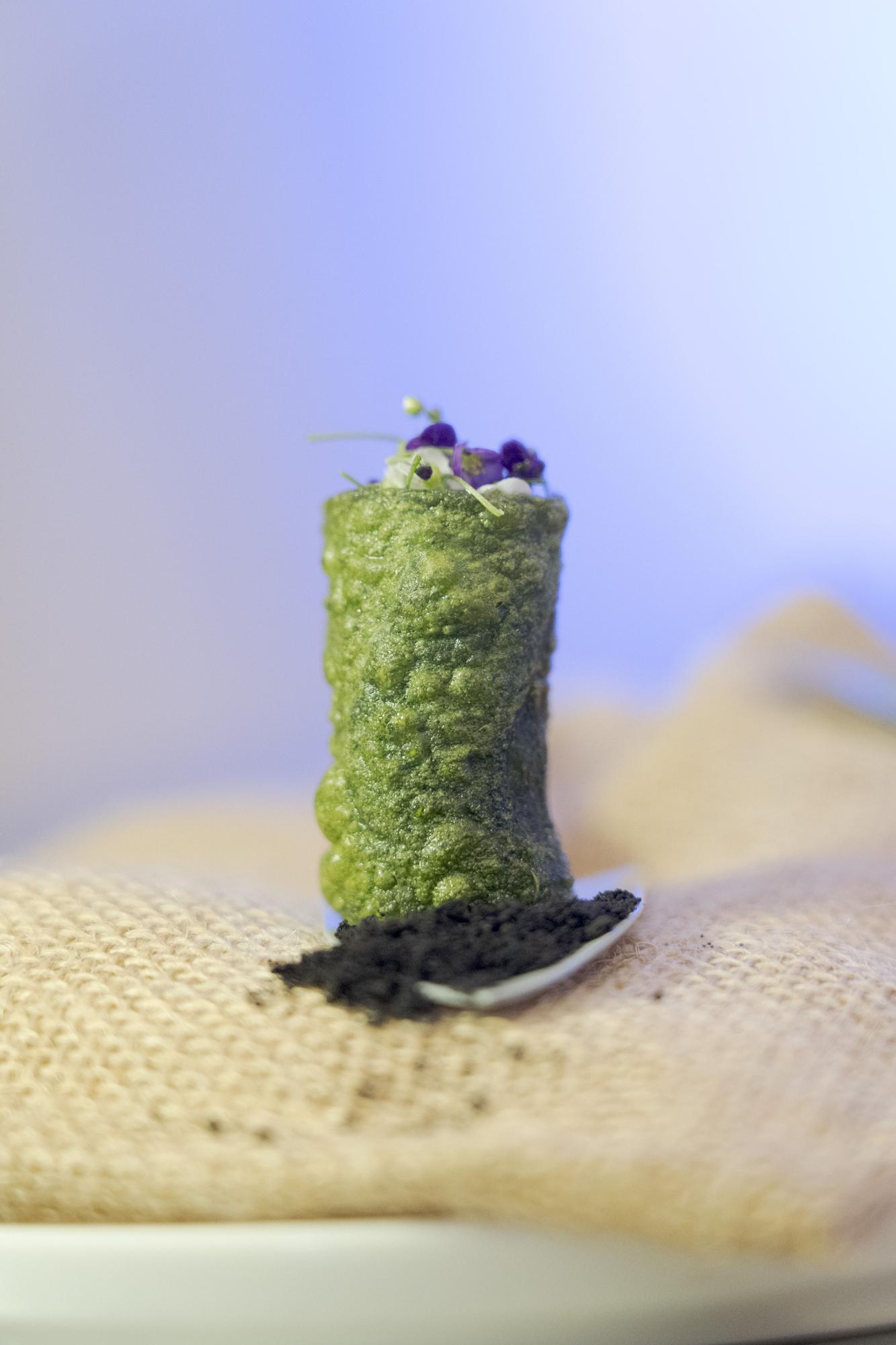 El segundo clasificado, 'Borraja 360’.