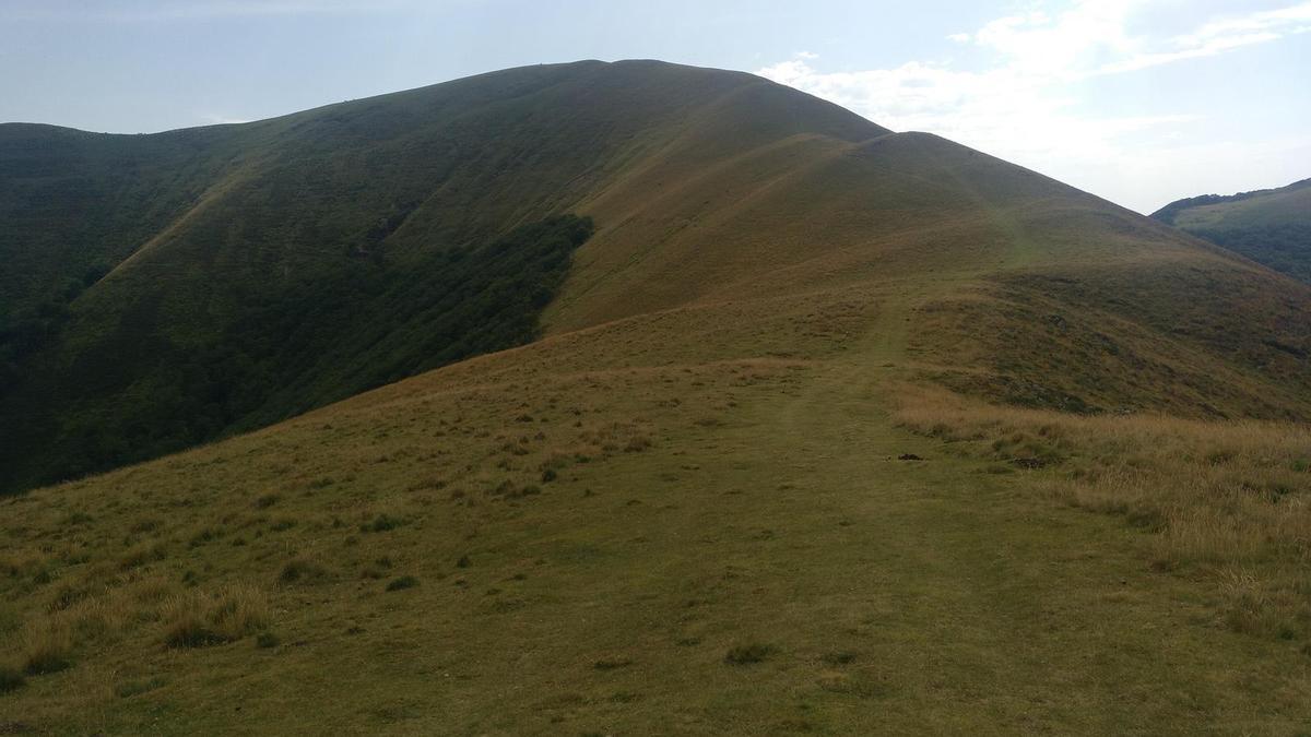 El manto verde por el que pisamos