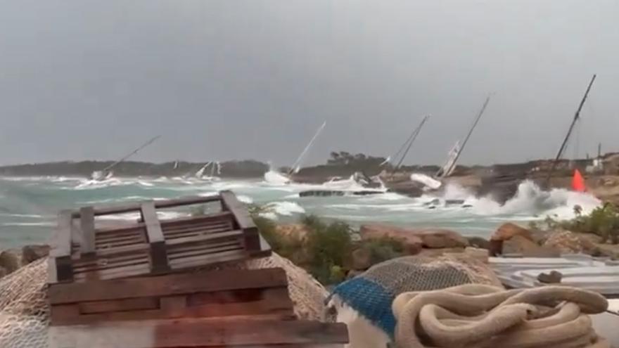 Varios barcos sufren las consecuencias del temporal en el puerto de Mallorca.