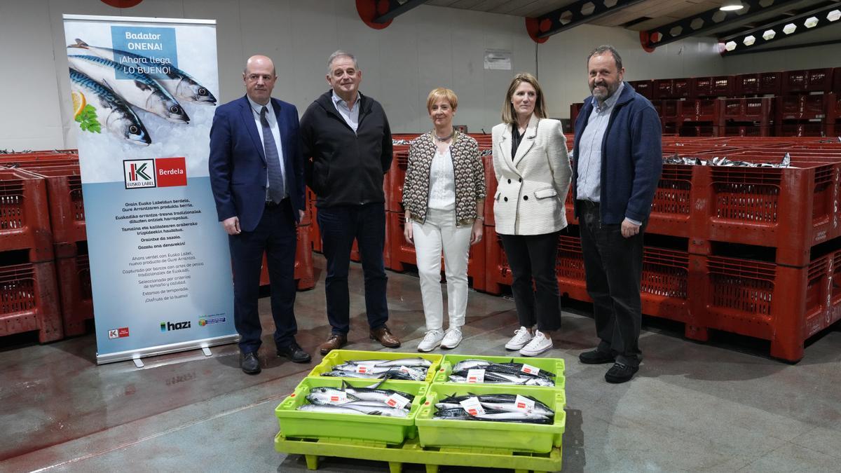 Los arrantzales vascos descargan 2 millones de kilos de verdel y 1,1 millones de kilos de anchoa.