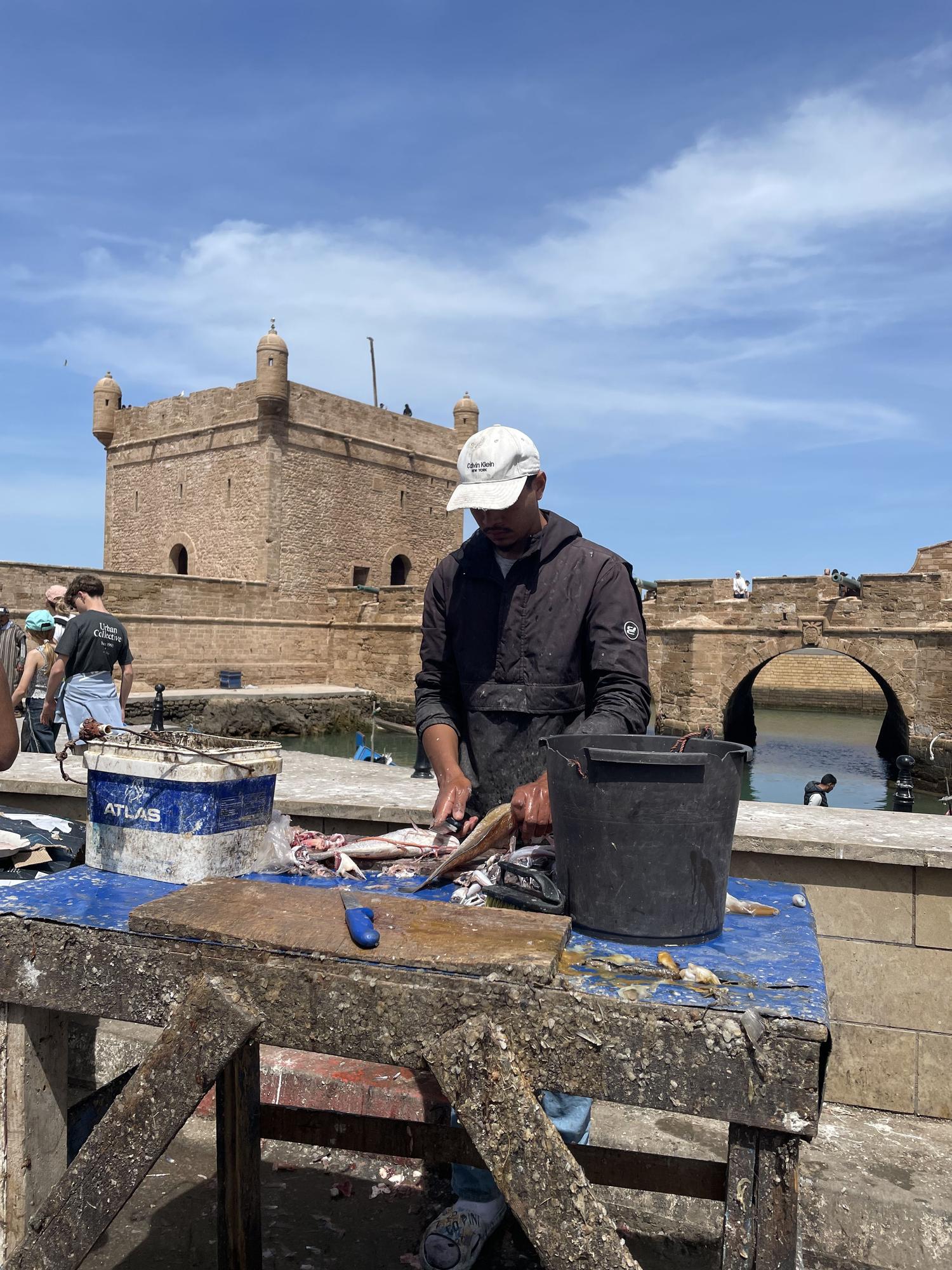 Limpiando pescado en el puerto.
