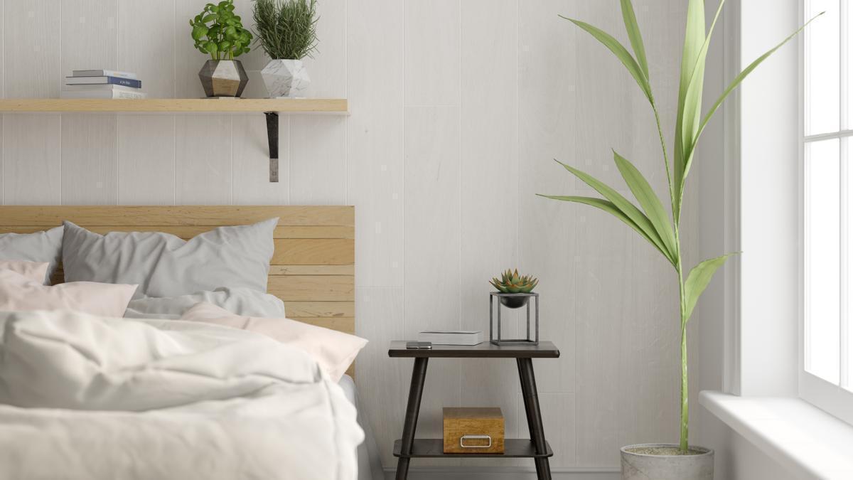 Plantas en la habitación.