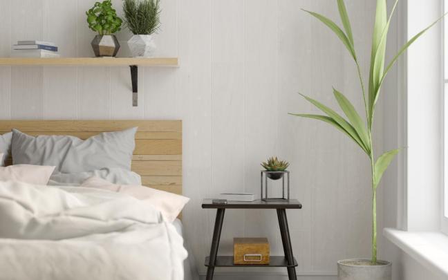 Plantas en la habitación.