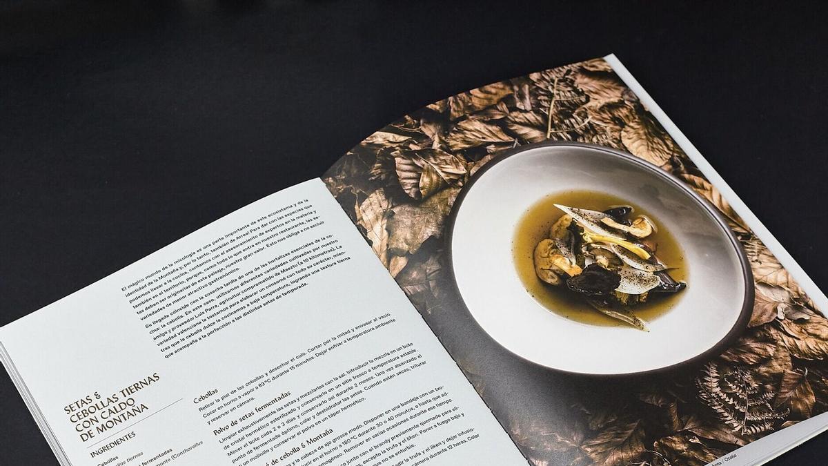 Detalle de libro 'Arrea!'.