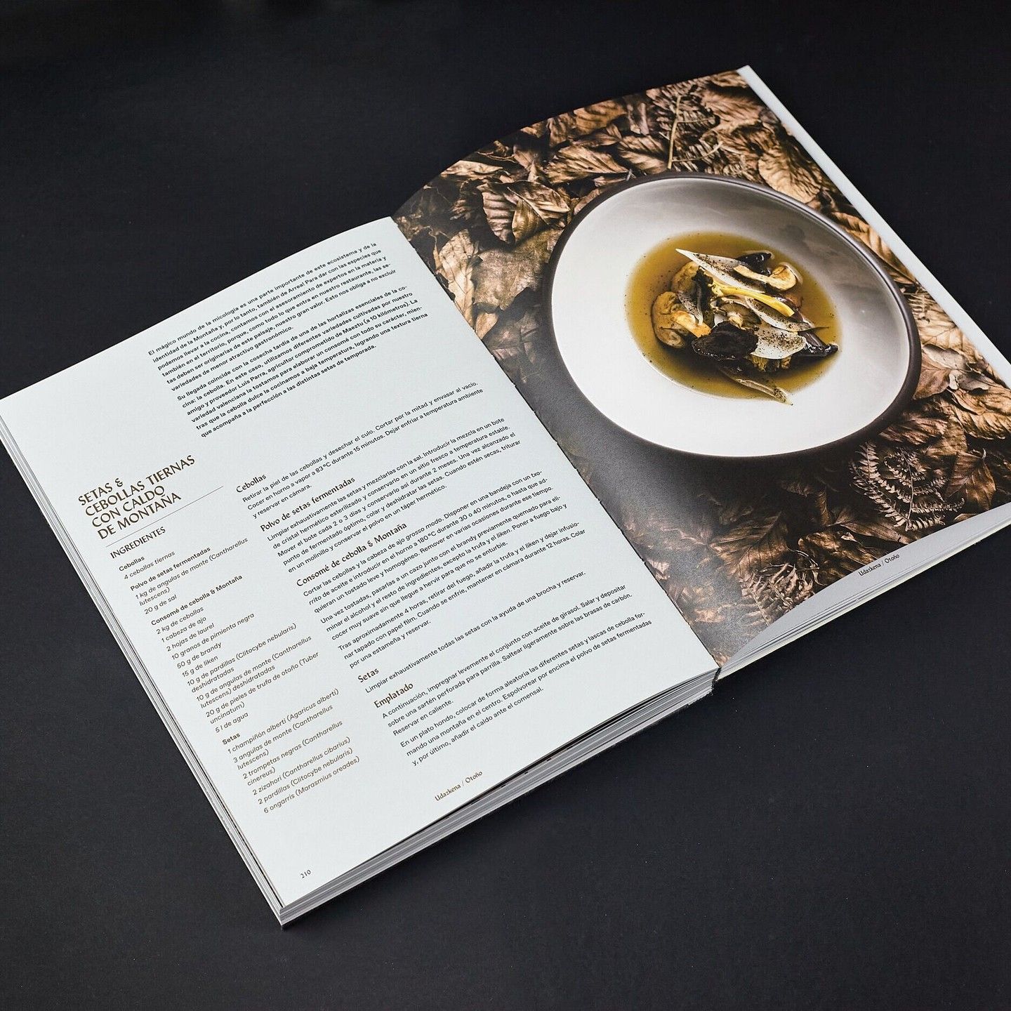 Detalle de libro 'Arrea!'.