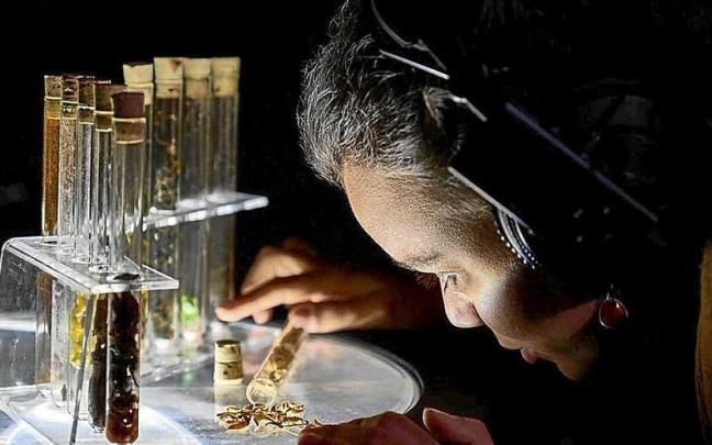 Un momento de la propuesta.