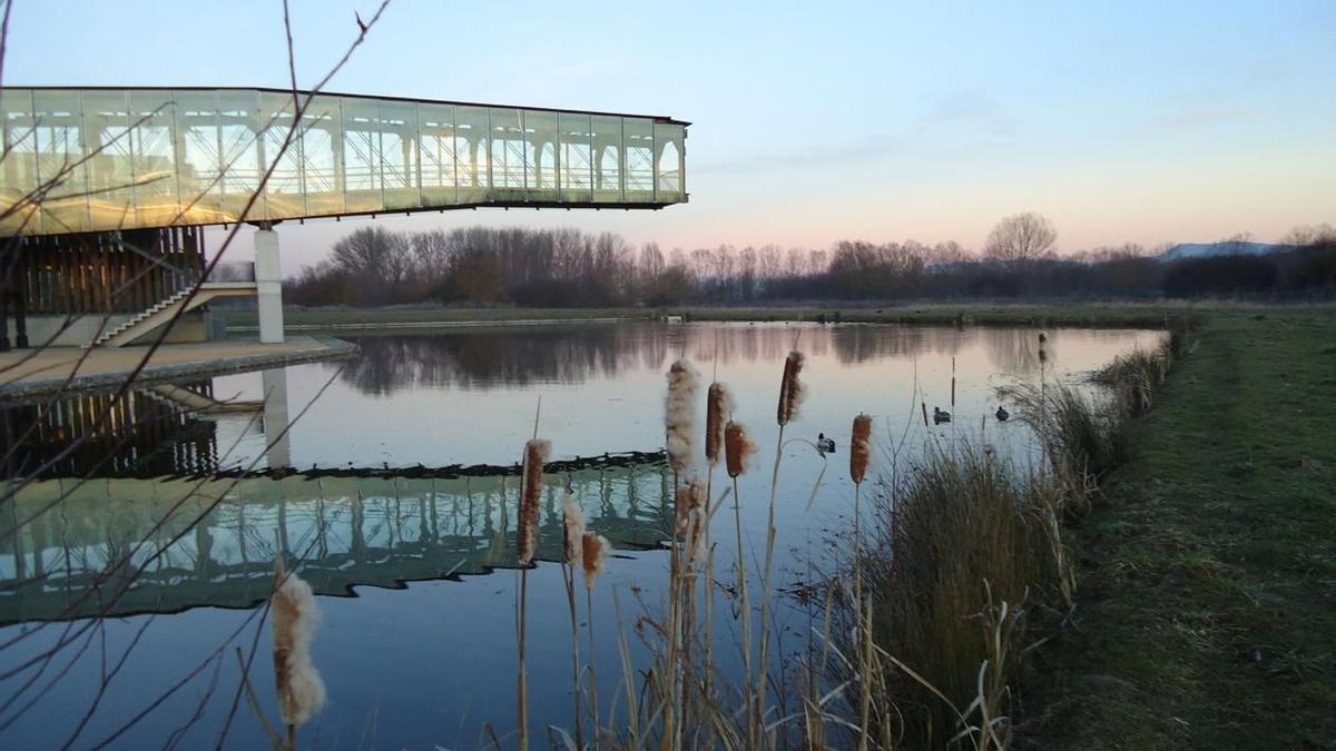 Gasteizko Ingurumen Gaietarako Ikastegiak 60 jarduera antolatu ditu udazkenerako.