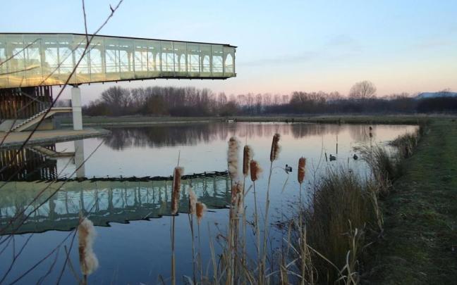 Gasteizko Ingurumen Gaietarako Ikastegiak 60 jarduera antolatu ditu udazkenerako.