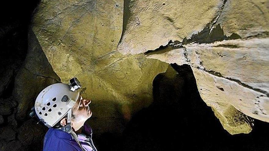Un hombre contempla los grabados hallados en 2015 en las cuevas de Aitzbitarte de Errenteria.