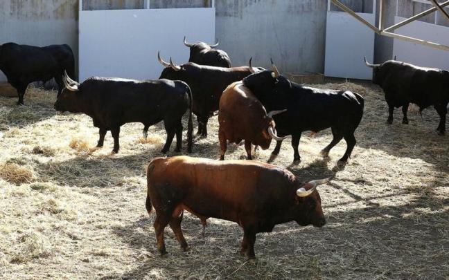 Los Jandillla descansan en los Corralillos del Gas