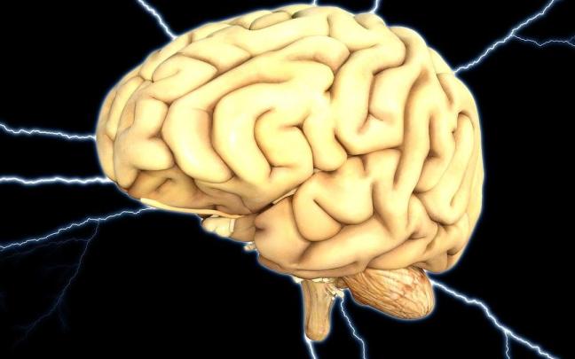 Los adenomas de hip&oacute;fisis son generalmente tumores benignos que se originan en las c&eacute;lulas que forman la gl&aacute;ndula hip&oacute;fisis