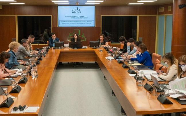 La Comisión de Derechos Humanos, Igualdad y Justicia ha aprobado el dictamen por unanimidad.