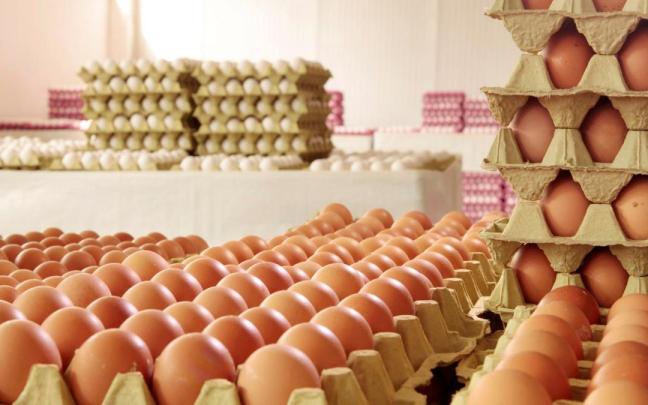 Es importante saber interpretar los códigos de identificación antes de comprarlos.