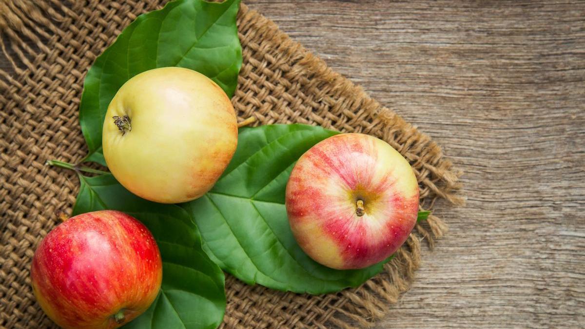 Ni en el frutero ni en la nevera: ¿dónde guardar las manzanas para que duren mucho más tiempo?