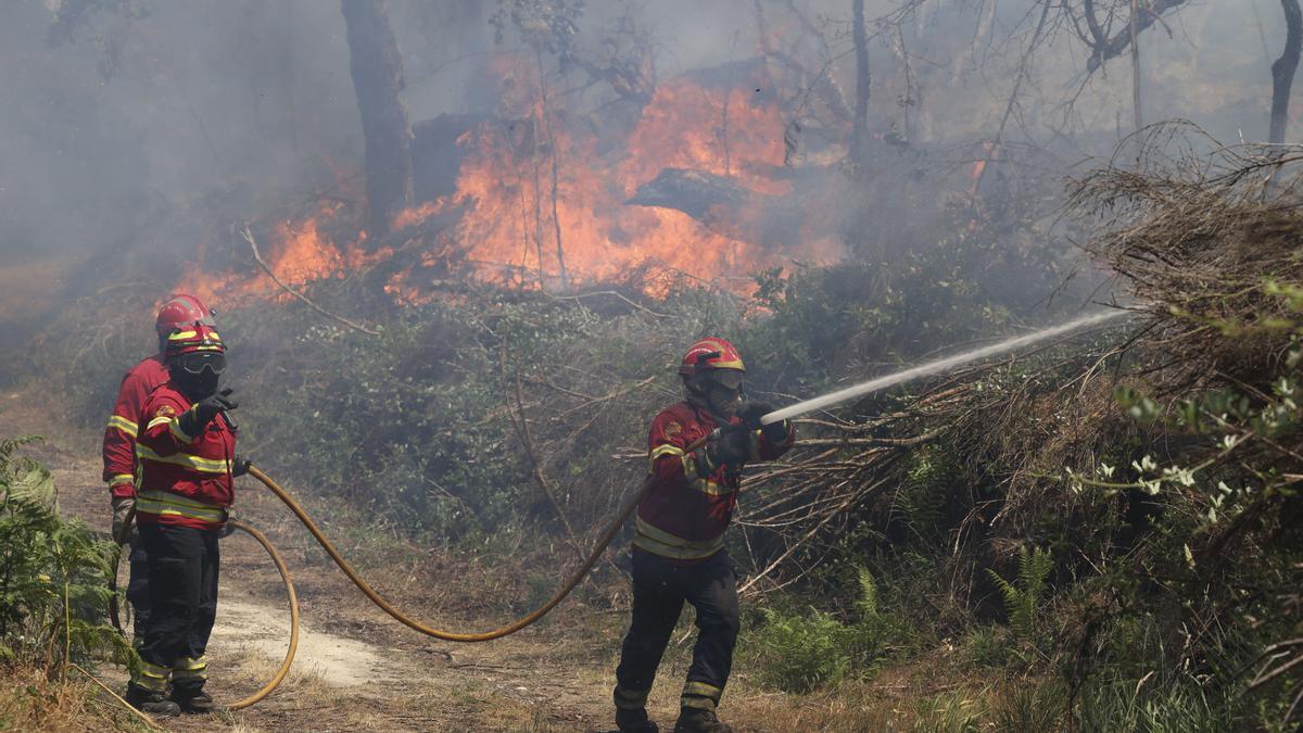 Bomberos trabajan para extinguir un incendio forestal que lleva activo desde la noche anterior en Vouzela, Portugal, el 2 de julio de 2026. A media mañana, más de 200 bomberos, apoyados por 45 vehículos y ocho aeronaves, trabajaban para con