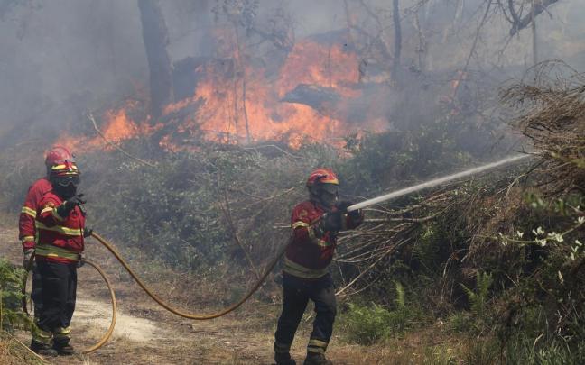 Bomberos trabajan para extinguir un incendio forestal que lleva activo desde la noche anterior en Vouzela, Portugal, el 2 de julio de 2026. A media mañana, más de 200 bomberos, apoyados por 45 vehículos y ocho aeronaves, trabajaban para con