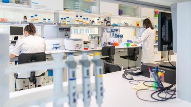 El Gobierno Vasco impulsa el talento investigador predoctoral y postdoctoral.