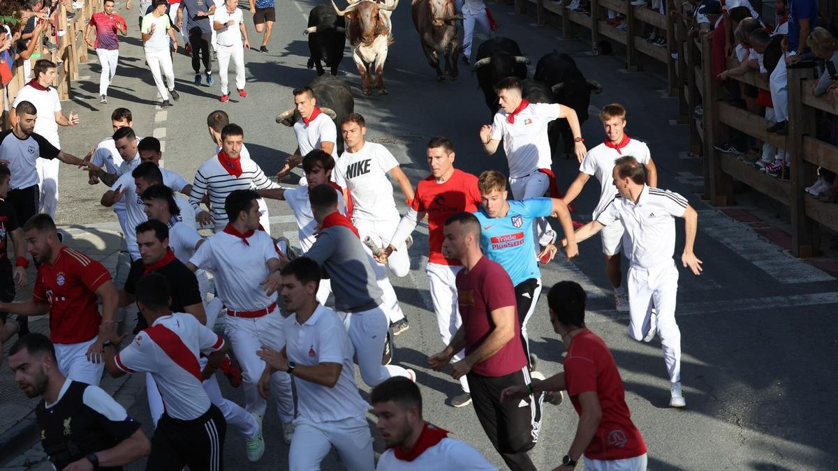 Segundo encierro de las fiestas de Tafalla 2023.