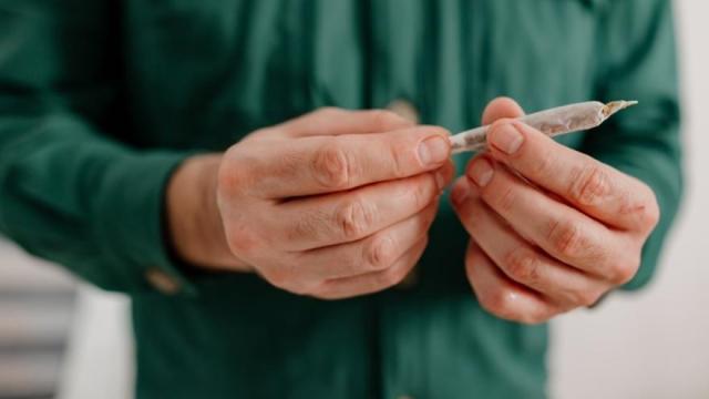 El análisis desvela que el uso de cannabis es relativamente estable durante la semana.