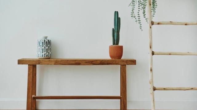 Un jarrón y un cactus sobre un banco de madera en un pasillo. Un jarrón y un cactus sobre un banco de madera en un pasillo.