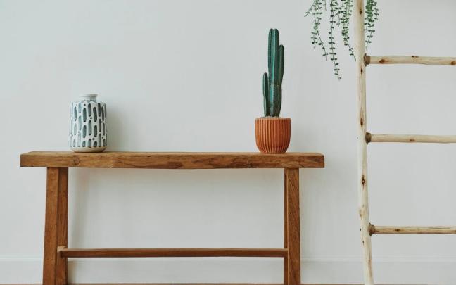 Un jarrón y un cactus sobre un banco de madera en un pasillo.