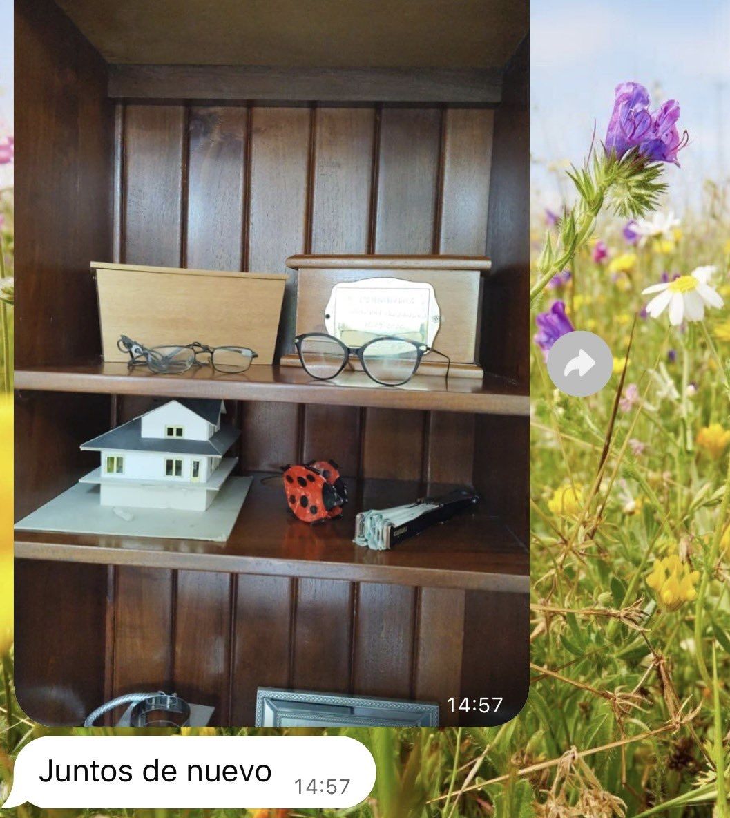 En una publicación posterior, Mo comparte cómo sus padres vuelven a estar “juntos de nuevo”, con sus urnas una junto a la otra y las gafas que ambos llevaban delante de ellas.