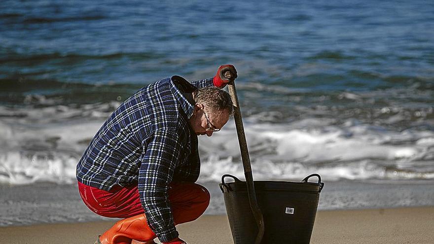 Un voluntario recoge manualmente pellets de la arena de una playa gallega, del vertido que comenzó a llegar hace casi un mes al norte del Estado. | FOTO: EP