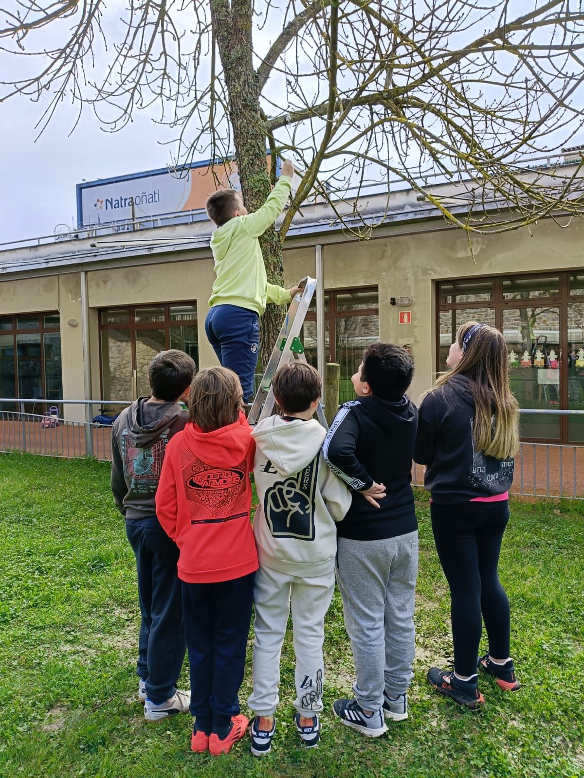 Alumnas y alumnos de 5º y 6º de Primaria han sido los encargados de realizar el estudio.