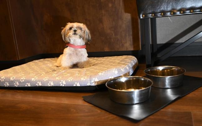 Bali disfrutó de su estancia en el Hotel Catalonia.