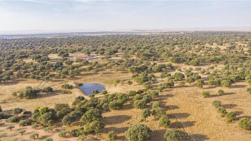 El 17 de junio se celebra Día Mundial de la Lucha contra la Desertificación y la Sequía.