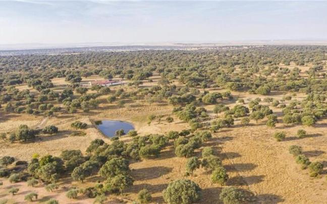 El 17 de junio se celebra Día Mundial de la Lucha contra la Desertificación y la Sequía.