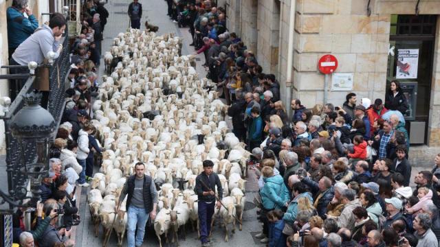 Artzain Eguna en Ordizia