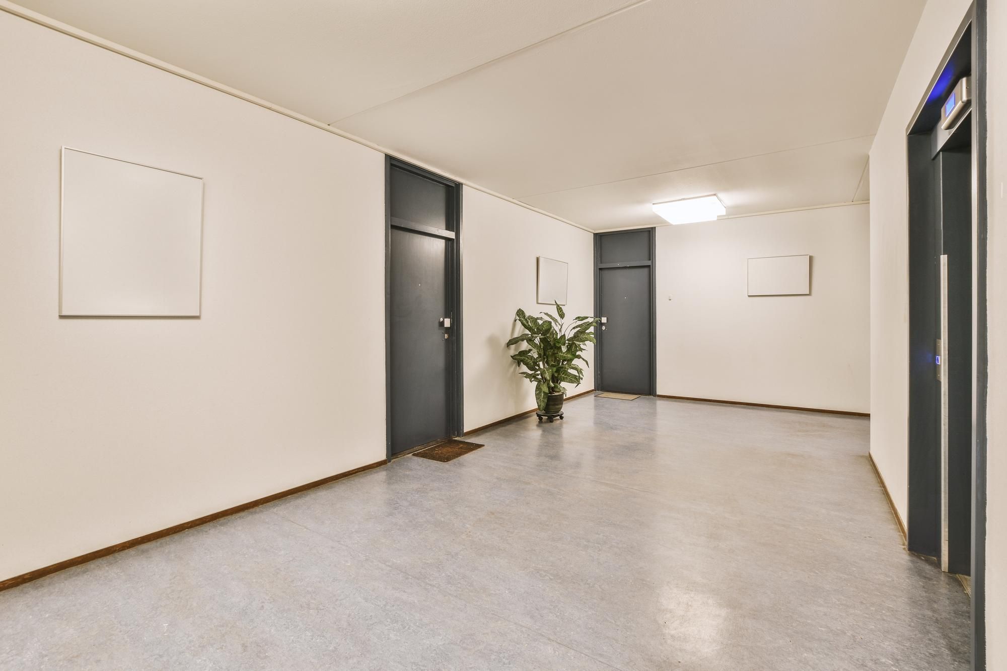 Maceta grande con una planta colocad en el rellano de la escalera.