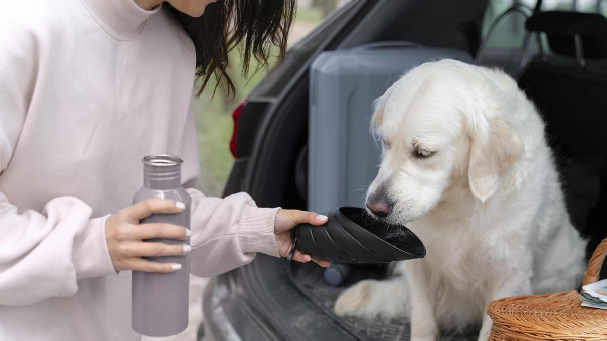 Los cuencos plegables de silicona o tela impermeable son una solución económica, higiénica y cómoda que permite que tu perro beba con seguridad allá donde vayas