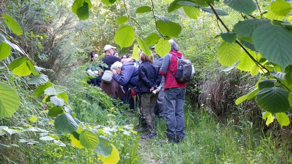 La plantación tendrá lugar en el barrio Astelarra de Muxika