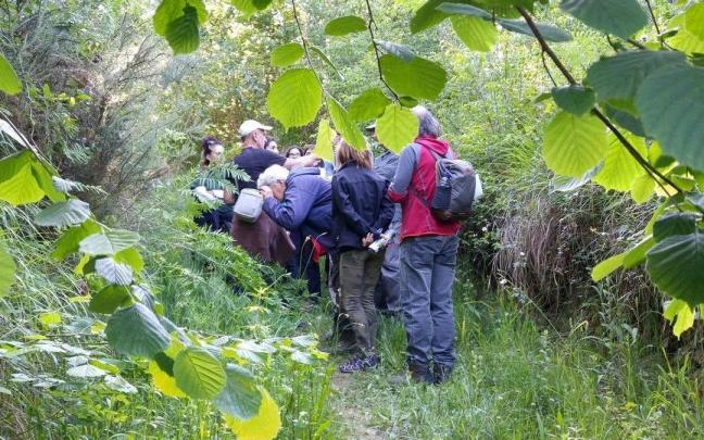 La plantación tendrá lugar en el barrio Astelarra de Muxika