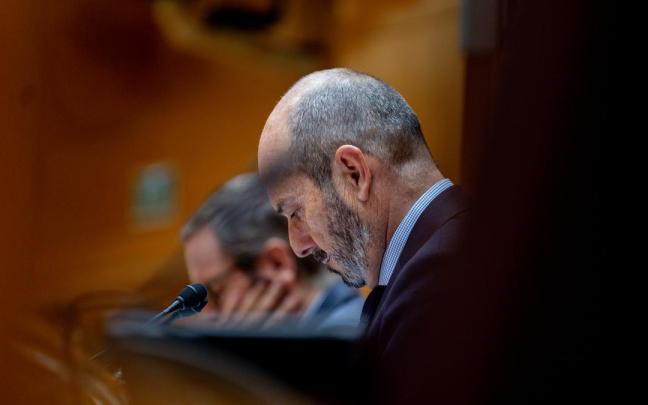 El presidente del Senado, Pedro Rollán.