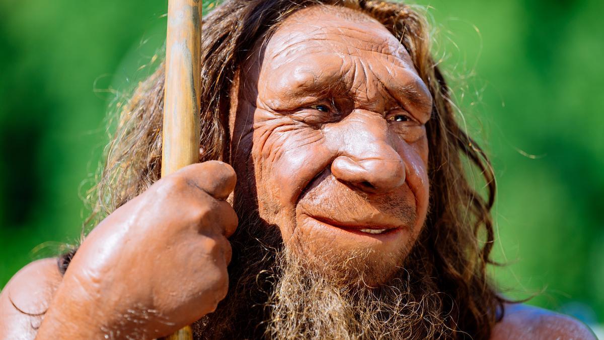 Un 'Homo neandertalensis'.