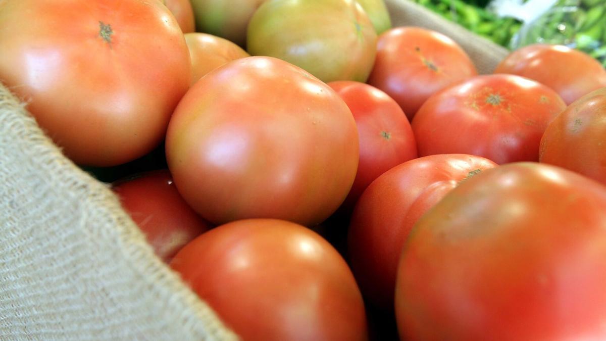 Tomates