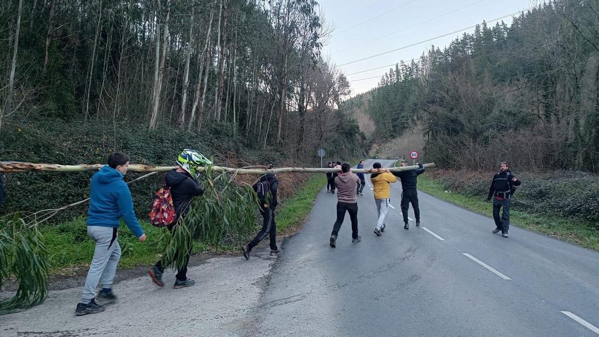 Bajada del árbol por Sansebasti en Okondo
